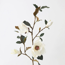 Fake Magnolia Branch